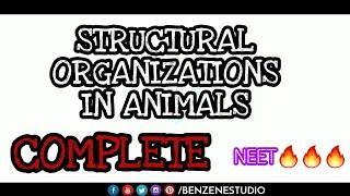 STRUCTURAL ORGANIZATIONS IN ANIMALS  complete chapter.