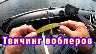 Что поймал на воблера за 3 часа до дождя на рыбалке?
