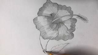 Flower Shading