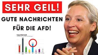 Erste Umfrage nach Ampel-Aus:  AfD gewinnt am stärksten!