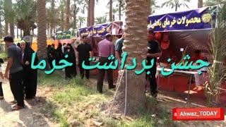 برگزاری شکرانه برداشت خرما | شبکه خوزستان | 1401/06/17 | زینب اهوازی | #اسماعیلیه