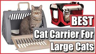 Best Cat Carrier for Large Cats (Top 5 Reviewed)