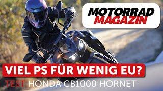 Budget bike? Honda CB1000 Hornet in the first test – Too much savings or 1000cc bargain?