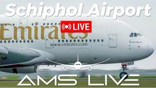  LIVE: Arrivals at Amsterdam Schiphol Airport | November 15, 2024