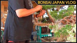 Oykata habla sobre los WC japoneses | Bonsai Japón Vlog #25