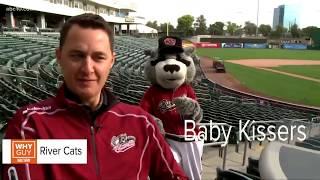 Why are they called the Sacramento River Cats? | Why Guy