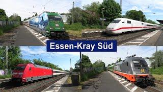 Trains at Essen-Kray Süd with class 101, Eurocity, ICEs, Flixtrain, Desiro HC, and FLIRT's