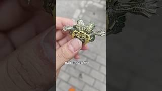 Peculiar two-headed turtle.#amazing #turtle #cute #healing #pets #unbelievable #shortvideo