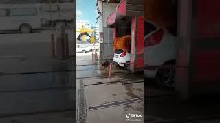 Street dog who cleans himself every morning  ‍