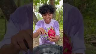 Nagdala yung mga Bata dito samin ng Dragon Fruit para gawing Ice Cream Roll  Kanguso TV