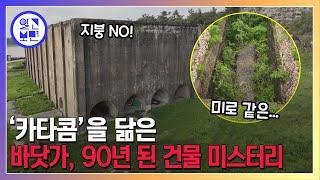 '만고역적을 죽이자'... 알 수 없는 문구가 새겨진 미로 같은 괴건물의 정체는?