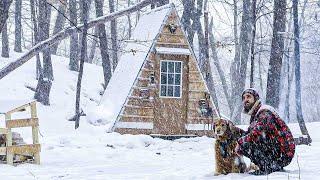 BLIZZARD AT THE CABIN | 2 Days in a Winter Storm with my Dog!