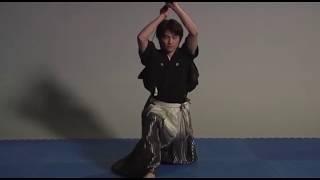 Shin Koyamada - 2009 Fall Issue (video segment) Martial arts MASTERS magazine