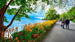 Switzerland  Montreux, scenic spring walk in the Promenade