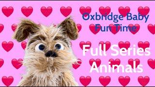 Oxbridge Baby Fun Time - Full Series - All Animals