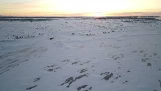 Great Bear Lake and the mouth of the Great Bear River (Sahtu and Sahtudeh) - Deline