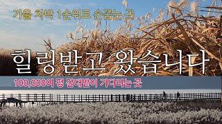 (유료광고)  서천 신성리갈대밭 / 완벽한 차박가능한 곳 / 힐링하고 왔습니다