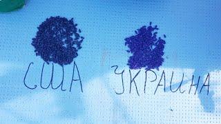 "Зачем ты это сеишь, купи нормальные семена." Обзор на семена подсолнечника по комментариям зрителя