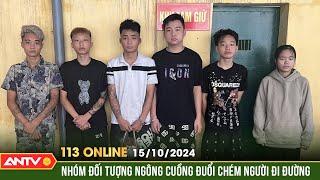 Bắt giữ 6 đối tượng can tội giết người và gây rối trật tự công cộng | Bản tin 113 online ngày 15/10