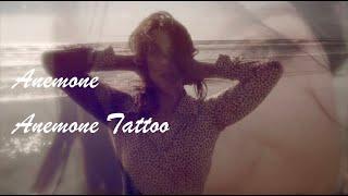 Fawn- Anemone Tattoo (Lyric Video)