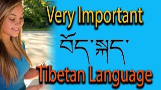 Tibetan language learning | lhasa tibetan language translator | tibetan language origin