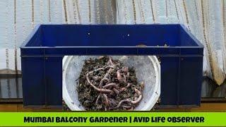 How To Start A New Composting Worm Bin ( Step By Step) DIY-Viewer Request