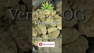 VENOM OG | THCA KING