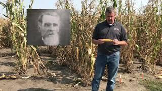 The History of Corn