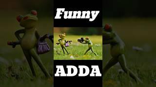 Funny Funny Funny Funny Videos || Funny Adda ||