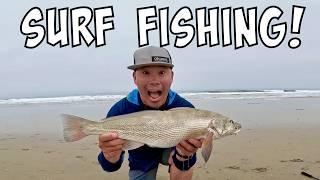 Sight Fishing Big Corbina [SoCal Surf Fishing]