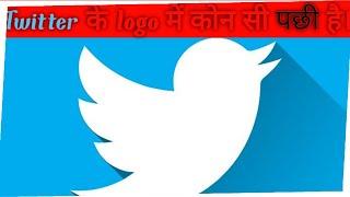 #twitter के logo में कोन सी पछी होती है।Fact 365#shorts