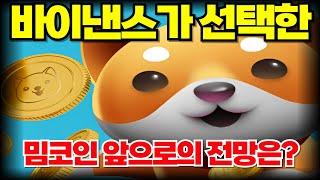 베이비도지! 바이낸스가 선택한 밈코인으로 앞으로 전망은? #베이비도지