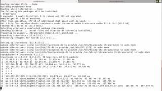 Basic Linux Networking Commands You Should Know