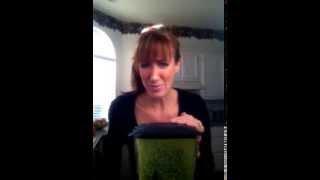 Sandi Buchanan Green Drink Challenge Day 1-7