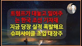 트럼프가 대놓고 밀어주는 한국 조선업[아무도 모르는 대장주] 지금 당장 실적 폭발합니다 세진중공업