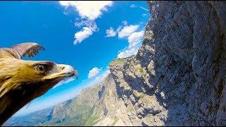 [10 Hours] Through an Eagle's Eyes in the Alps - Video & Audio [1080HD] SlowTV