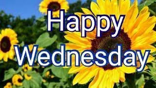 Good morning Wednesday images, best good morning images, whatsapp images & beautiful flowers images