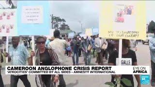 'Atrocities' committed by all sides in Cameroon's Anglophone crisis, Amnesty says • FRANCE 24