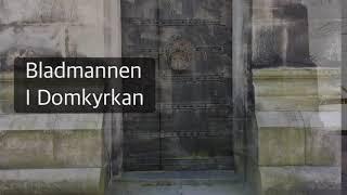 En minut om Domkyrkan - Bladmannen