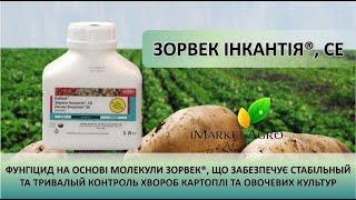 Зорвек Інкантія фунгіцид 1 літр (CORTEVA) відео-огляд пакування, опис та застосування препарату.