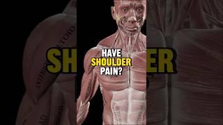 The Secret To Fixing Shoulder Pain?