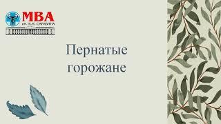 Пернатые горожане: книжная выставка