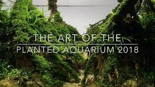 Aquascaping Contest — The Art of the Planted Aquarium 2018