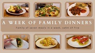 WEEK 18| FAMILY DINNERS OF THE WEEK | family of seven evening meal ideas, meal plan