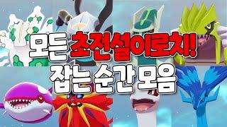 3년걸려 드디어 다 잡았다... 초전설 이로치 포켓몬 포획 장면 모음! l Best shiny Legendary Pokemon Reactions!