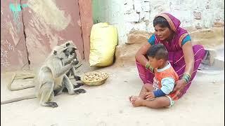 cute baby with mother with monkey//village monkey video#mkdearmonkey #funny #monkey