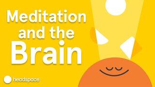 Meditation's Impact on the Brain | Expert Videos