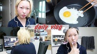 3개월차 초보자취생의 하루일과vlog 자취 일상 브이로그‼️ | 김무비 KIM MOVIE