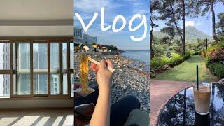 [VLOG] 신혼집 구하기 | 울산 바다 피크닉 | 대구 신혼집 | 예비부부 브이로그 | 대구 일상 브이로그 | 대구 맛집 | 대구 노상 술집 | 팔공산 부모님 브이로그