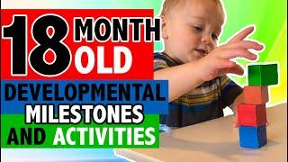 HOW TO PLAY WITH YOUR 18 MONTH OLD | DEVELOPMENTAL MILESTONES | WHAT YOU NEED TO KNOW